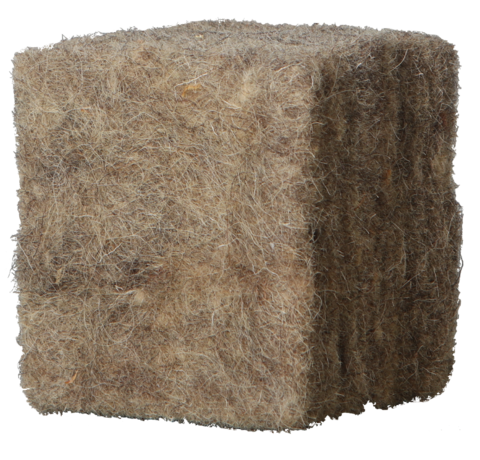 sheep wool 